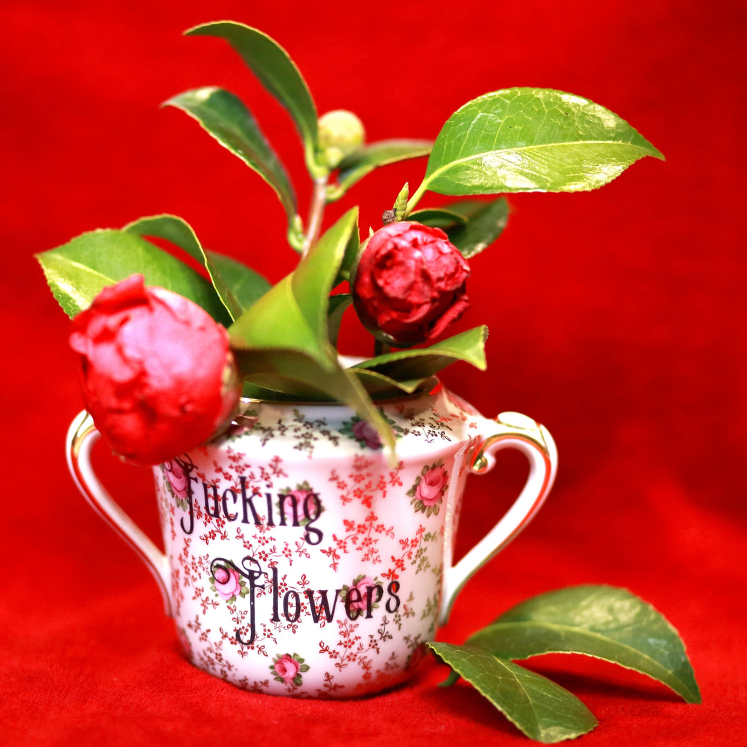 Vases