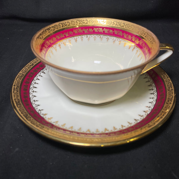 copy of Insult Teacups, Vaginasaurus, Funny Rude Insult tasse jurons gift