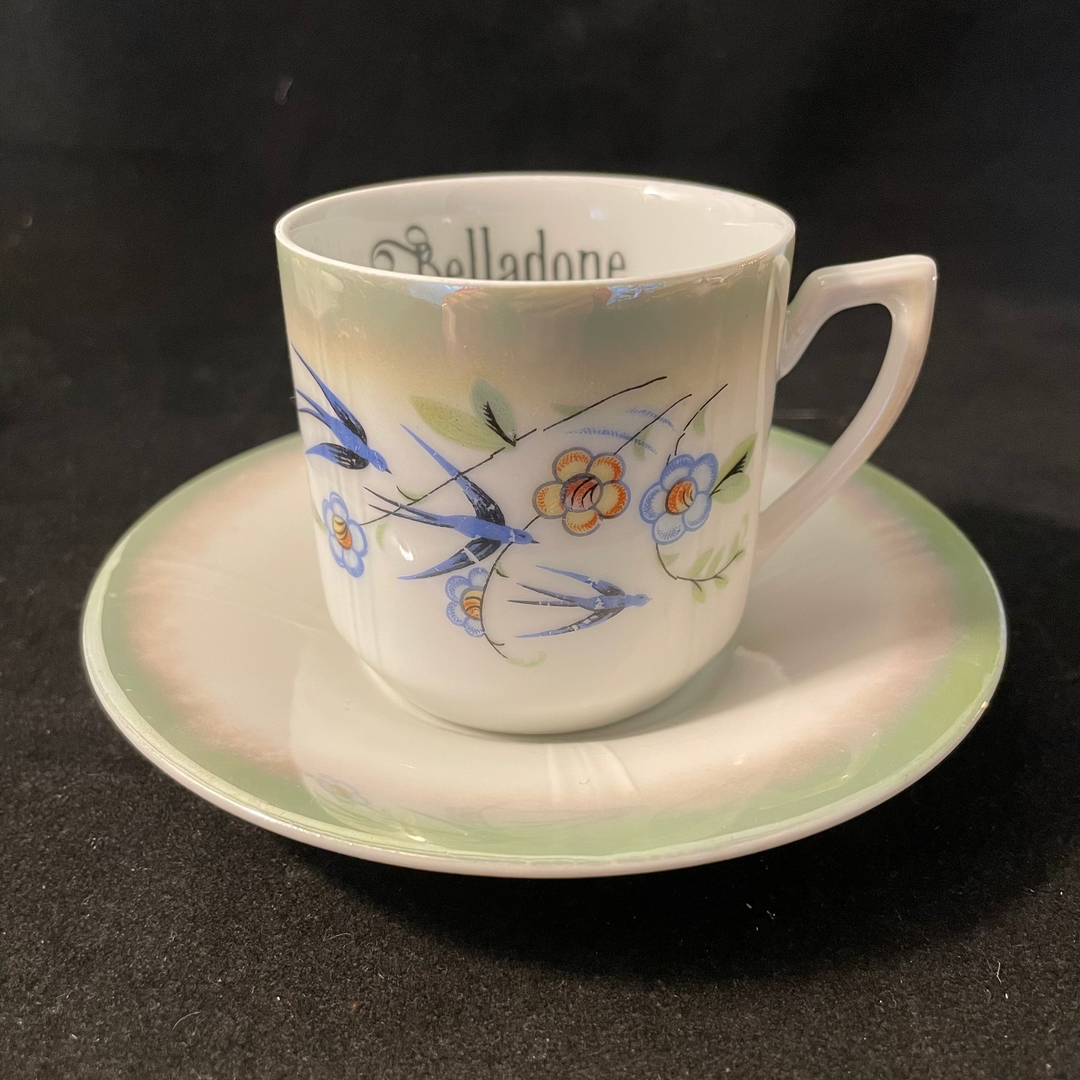 Poison Tea Set,Unique upcycled French vintage porcelain, funny rude gift