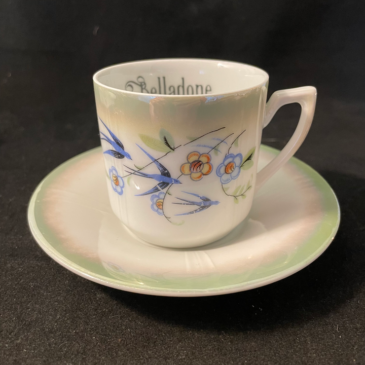 Poison Tea Set,Unique upcycled French vintage porcelain, funny rude gift